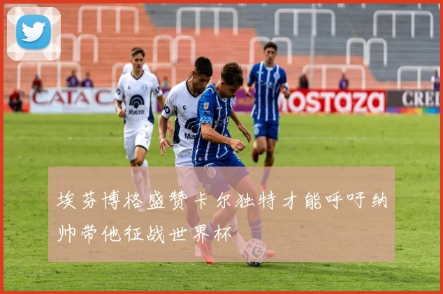 埃芬博格盛赞卡尔独特才能呼吁纳帅带他征战世界杯