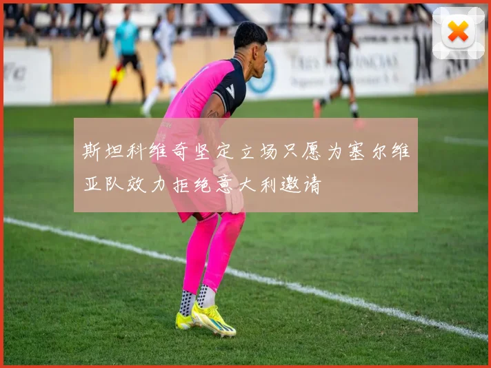 斯坦科维奇坚定立场只愿为塞尔维亚队效力拒绝意大利邀请