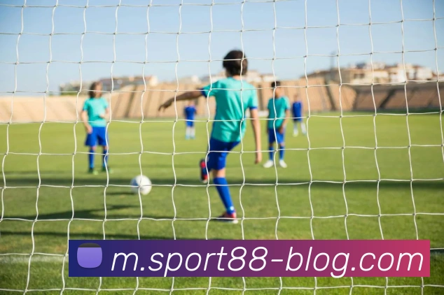 88体育平台生态图