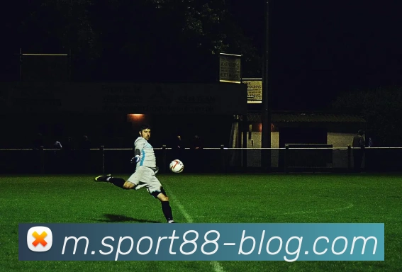 88体育APP 封面图